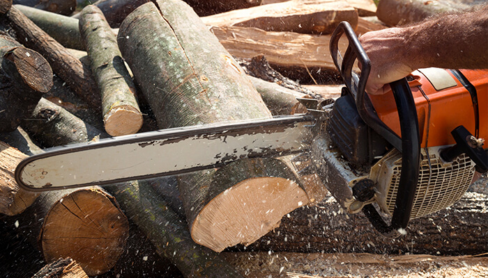 Élagage En Seine Et Marne 77